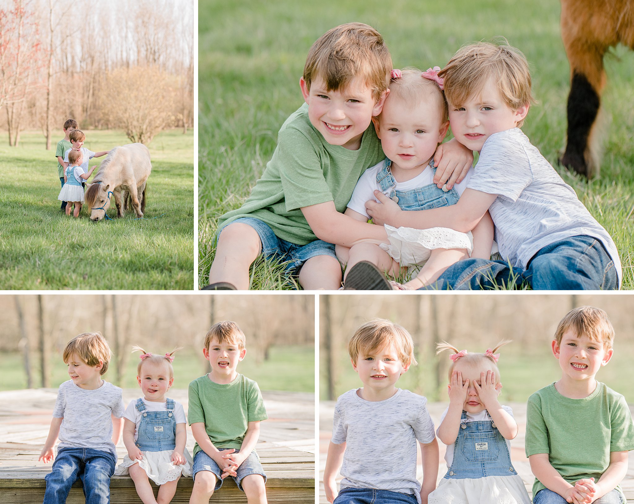 Urbana Ohio, Mechanicsburg Ohio, Family Photographer, Mini Ponies, Overalls Kids farm animals, Spring Family Photos, Ohio Family Photographer