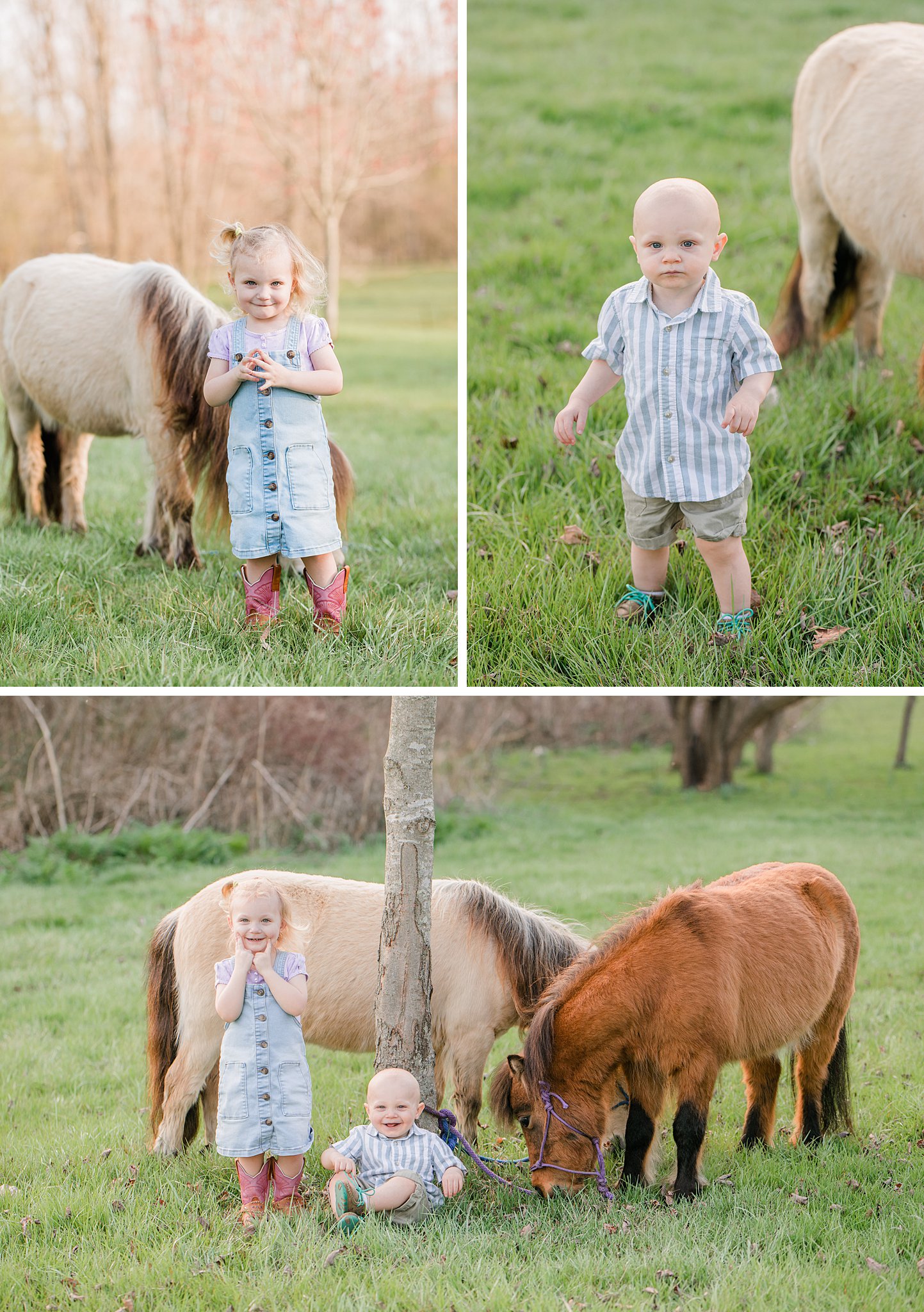 Urbana Ohio, Mechanicsburg Ohio, Family Photographer, Mini Ponies, Overalls Kids farm animals, Spring Family Photos, Ohio Family Photographer